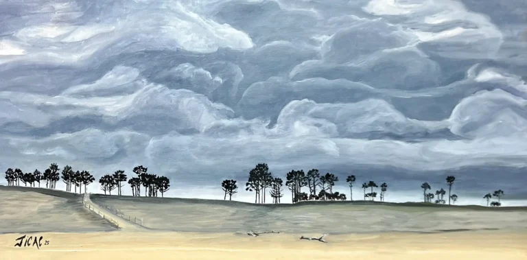 N° 483, les pins de la Salie 100 x 50,