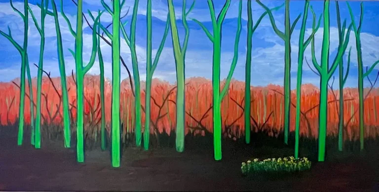 N° 495 Feu dans la foret